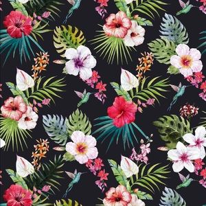 Meet your Posher, Rachael